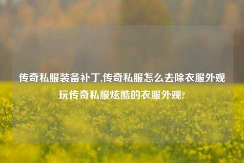 传奇私服装备补丁,传奇私服怎么去除衣服外观玩传奇私服炫酷的衣服外观?