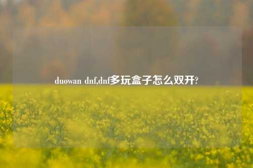 duowan dnf,dnf多玩盒子怎么双开?