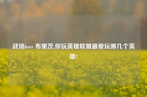 战场boss 布里茨,你玩英雄联盟最爱玩哪几个英雄?