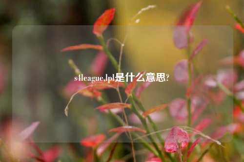 s4league,lpl是什么意思?