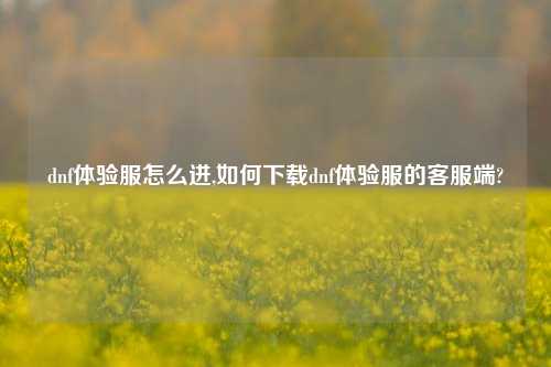dnf体验服怎么进,如何下载dnf体验服的客服端?