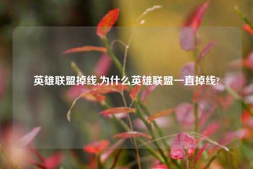 英雄联盟掉线,为什么英雄联盟一直掉线?
