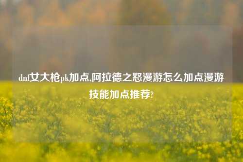 dnf女大枪pk加点,阿拉德之怒漫游怎么加点漫游技能加点推荐?