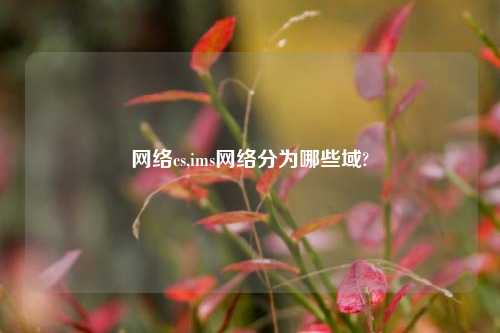 网络cs,ims网络分为哪些域?