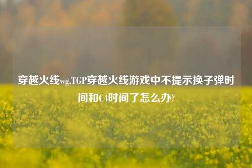 穿越火线wg,TGP穿越火线游戏中不提示换子弹时间和C4时间了怎么办?