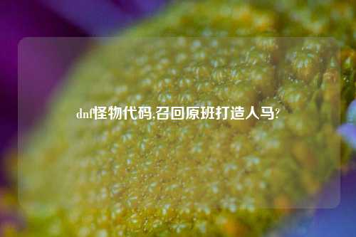 dnf怪物代码,召回原班打造人马?