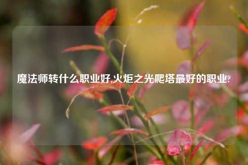 魔法师转什么职业好,火炬之光爬塔最好的职业?