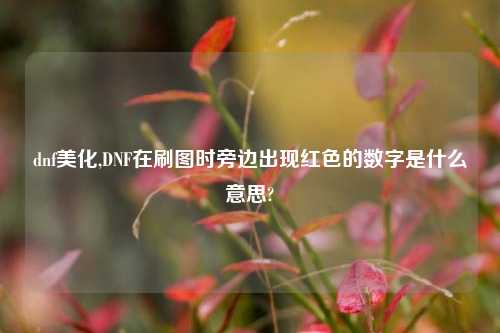 dnf美化,DNF在刷图时旁边出现红色的数字是什么意思?
