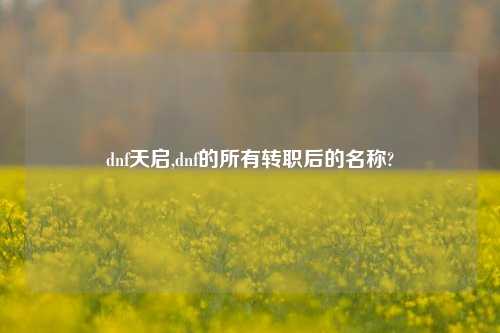 dnf天启,dnf的所有转职后的名称?