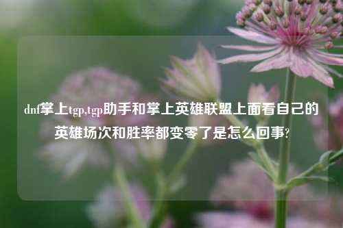 dnf掌上tgp,tgp助手和掌上英雄联盟上面看自己的英雄场次和胜率都变零了是怎么回事?
