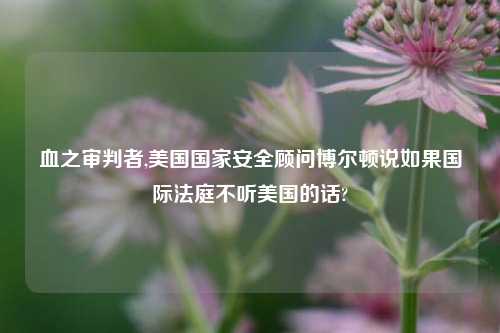 血之审判者,美国国家安全顾问博尔顿说如果国际法庭不听美国的话?