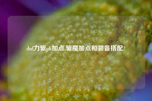 dnf力驱pk加点,驱魔加点和装备搭配?
