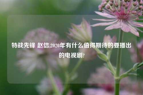 特战先锋 赵信,2020年有什么值得期待的要播出的电视剧?
