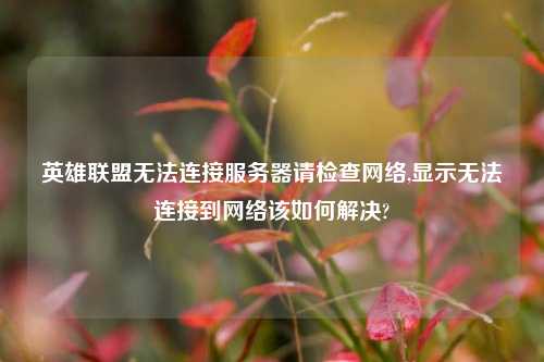 英雄联盟无法连接服务器请检查网络,显示无法连接到网络该如何解决?