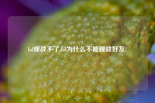 lol观战不了,lol为什么不能观战好友?