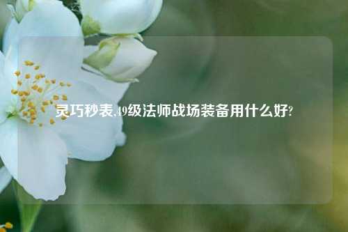 灵巧秒表,49级法师战场装备用什么好?