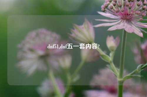 dnf51,dnf五一套内容?