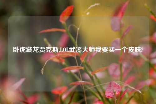 卧虎藏龙贾克斯,LOL武器大师我要买一个皮肤?