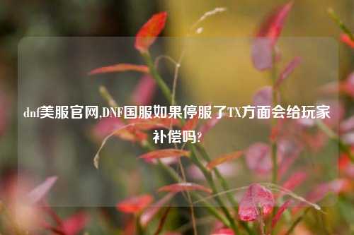dnf美服官网,DNF国服如果停服了TX方面会给玩家补偿吗?