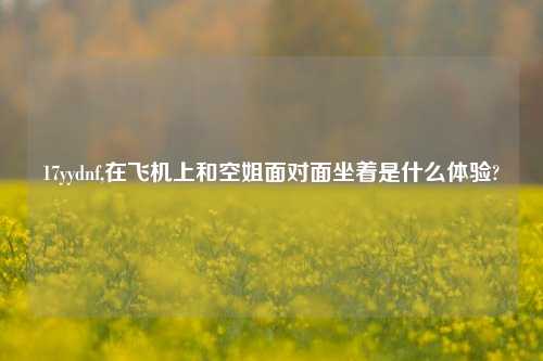 17yydnf,在飞机上和空姐面对面坐着是什么体验?