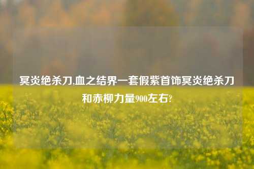 冥炎绝杀刀,血之结界一套假紫首饰冥炎绝杀刀和赤柳力量900左右?