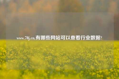 www.70j.cn,有哪些网站可以查看行业数据?