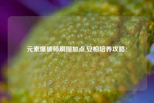 元素爆破师刷图加点,安柏培养攻略?