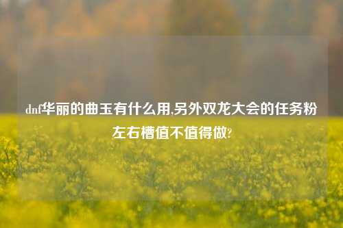 dnf华丽的曲玉有什么用,另外双龙大会的任务粉左右槽值不值得做?