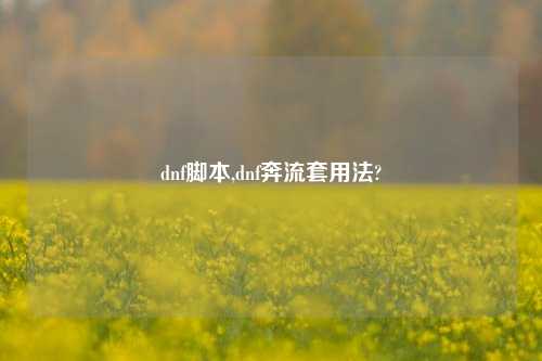 dnf脚本,dnf奔流套用法?
