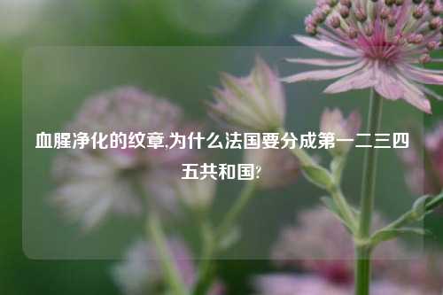 血腥净化的纹章,为什么法国要分成第一二三四五共和国?