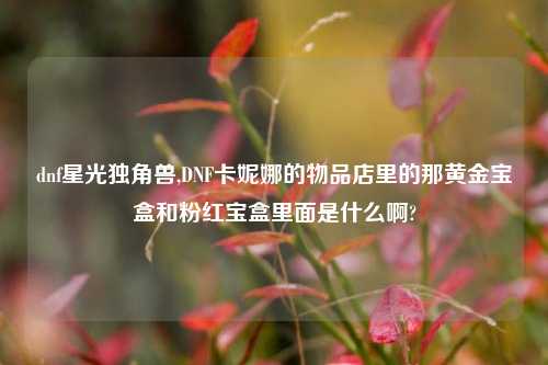dnf星光独角兽,DNF卡妮娜的物品店里的那黄金宝盒和粉红宝盒里面是什么啊?