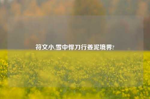 符文小,雪中悍刀行姜泥境界?