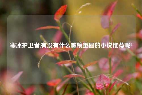 寒冰护卫者,有没有什么破镜重圆的小说推荐呢?