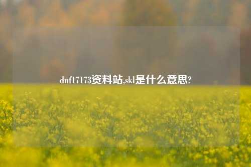 dnf17173资料站,skl是什么意思?