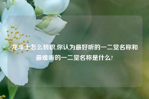 龙斗士怎么转职,你认为最好听的一二觉名称和最难听的一二觉名称是什么?
