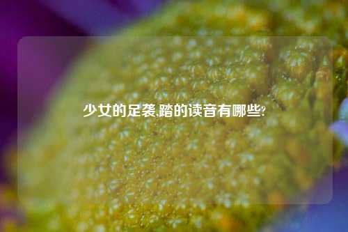 少女的足袭,踏的读音有哪些?