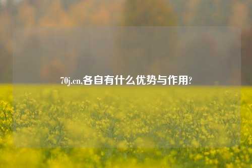70j.cn,各自有什么优势与作用?