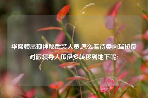 华盛顿出现神秘武装人员,怎么看待委内瑞拉反对派领导人瓜伊多转移到地下呢?