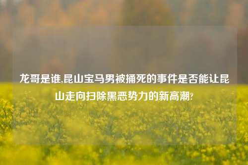 龙哥是谁,昆山宝马男被捅死的事件是否能让昆山走向扫除黑恶势力的新高潮?