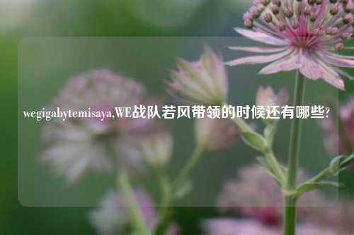 wegigabytemisaya,WE战队若风带领的时候还有哪些?