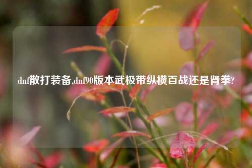 dnf散打装备,dnf90版本武极带纵横百战还是肾拳?