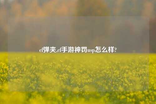cf弹夹,cf手游神罚usp怎么样?