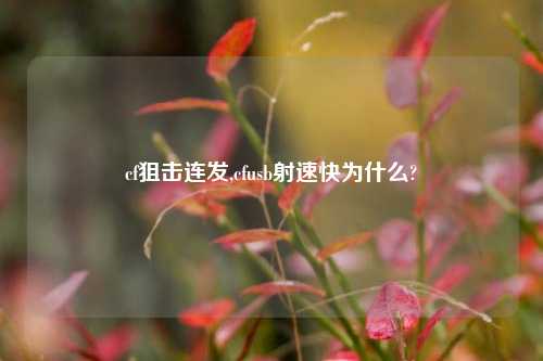 cf狙击连发,cfusb射速快为什么?
