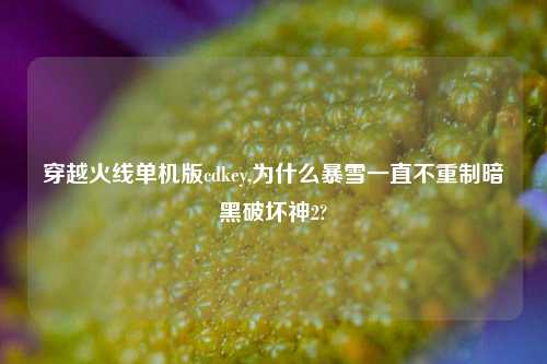 穿越火线单机版cdkey,为什么暴雪一直不重制暗黑破坏神2?