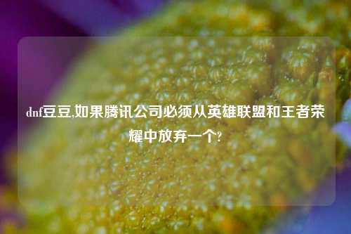 dnf豆豆,如果腾讯公司必须从英雄联盟和王者荣耀中放弃一个?