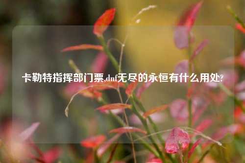 卡勒特指挥部门票,dnf无尽的永恒有什么用处?
