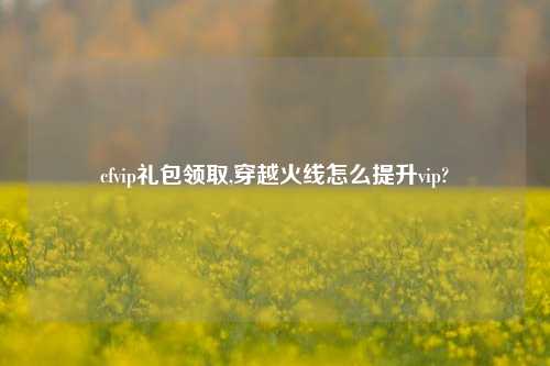 cfvip礼包领取,穿越火线怎么提升vip?