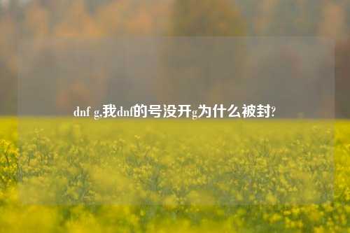 dnf g,我dnf的号没开g为什么被封?
