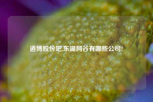 道博股份吧,东湖网谷有哪些公司?