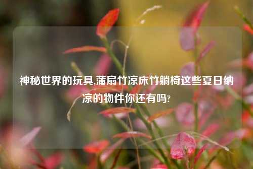 神秘世界的玩具,蒲扇竹凉床竹躺椅这些夏日纳凉的物件你还有吗?
